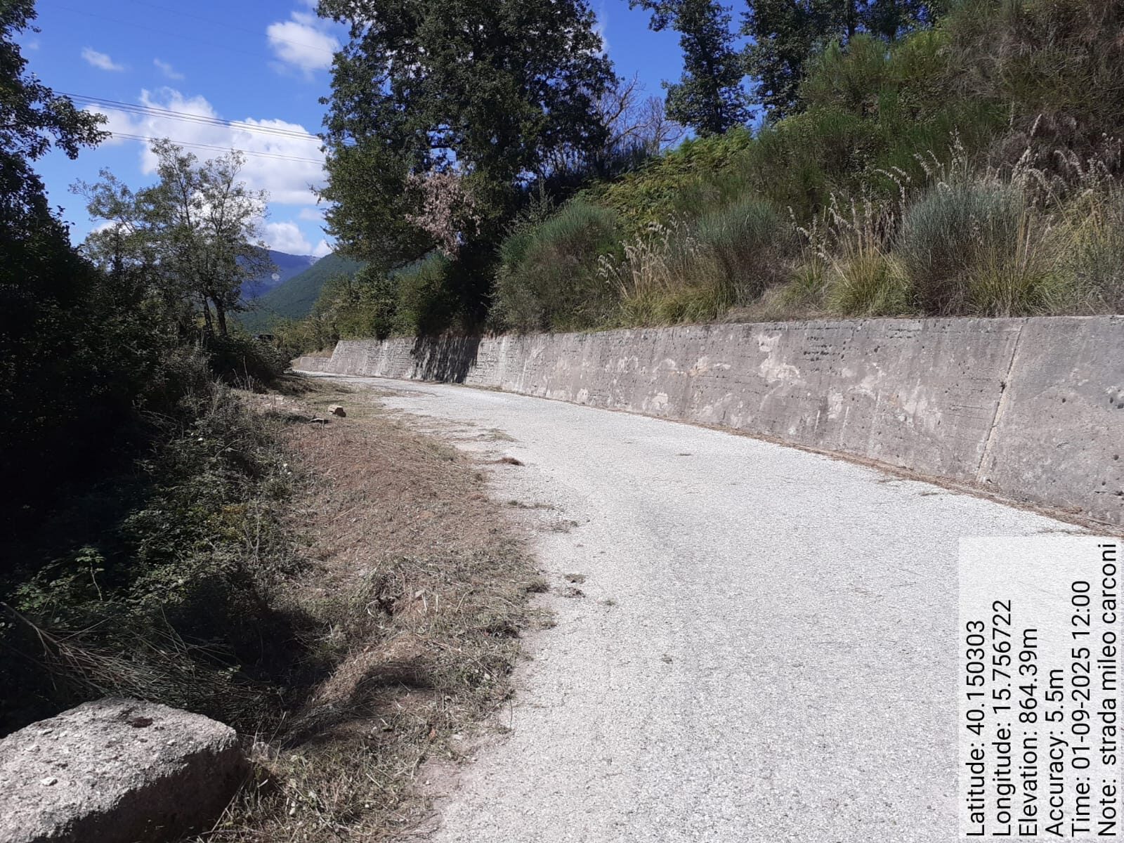 Galleria Fotografica Immagine