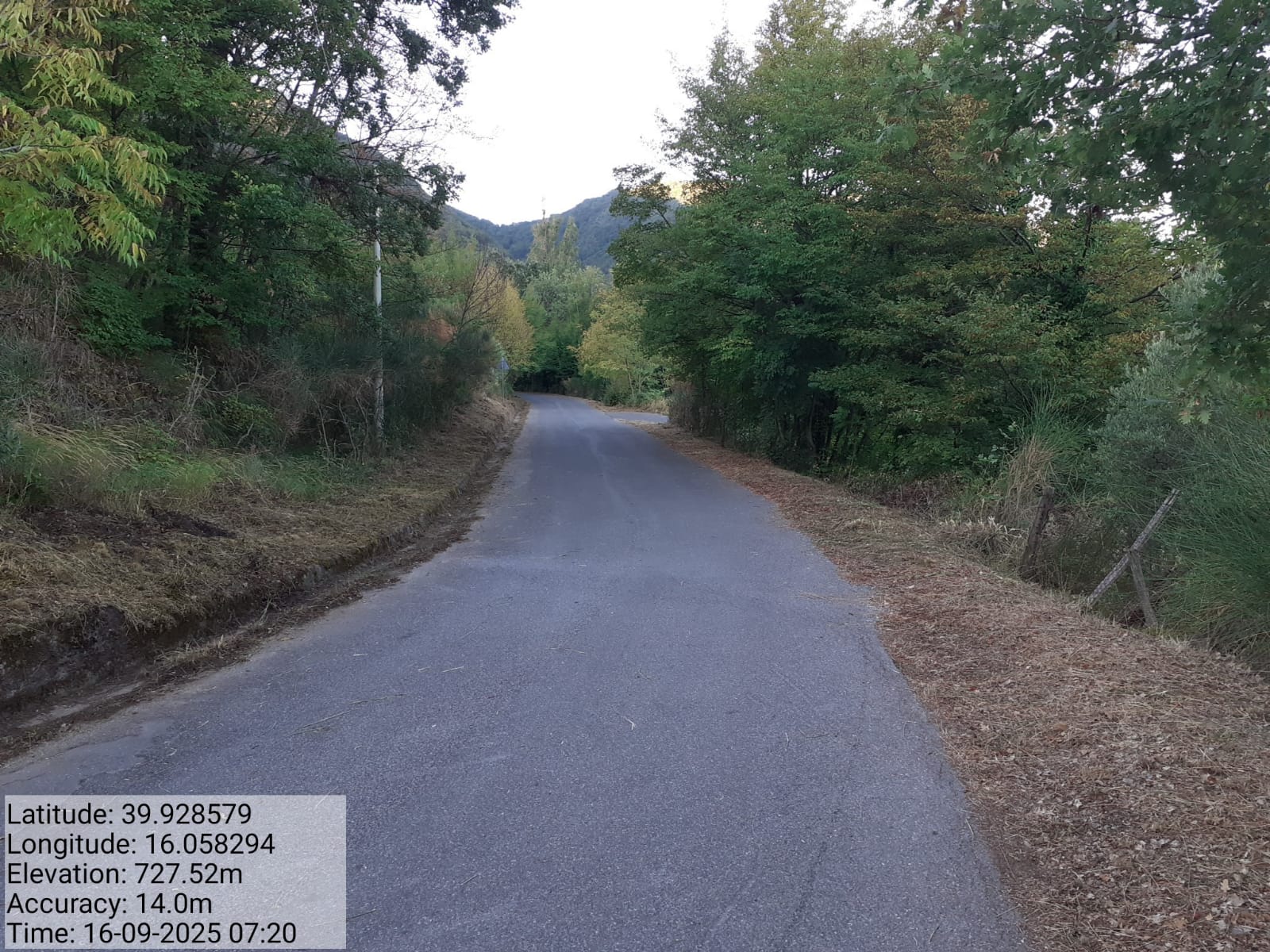 Galleria Fotografica Immagine