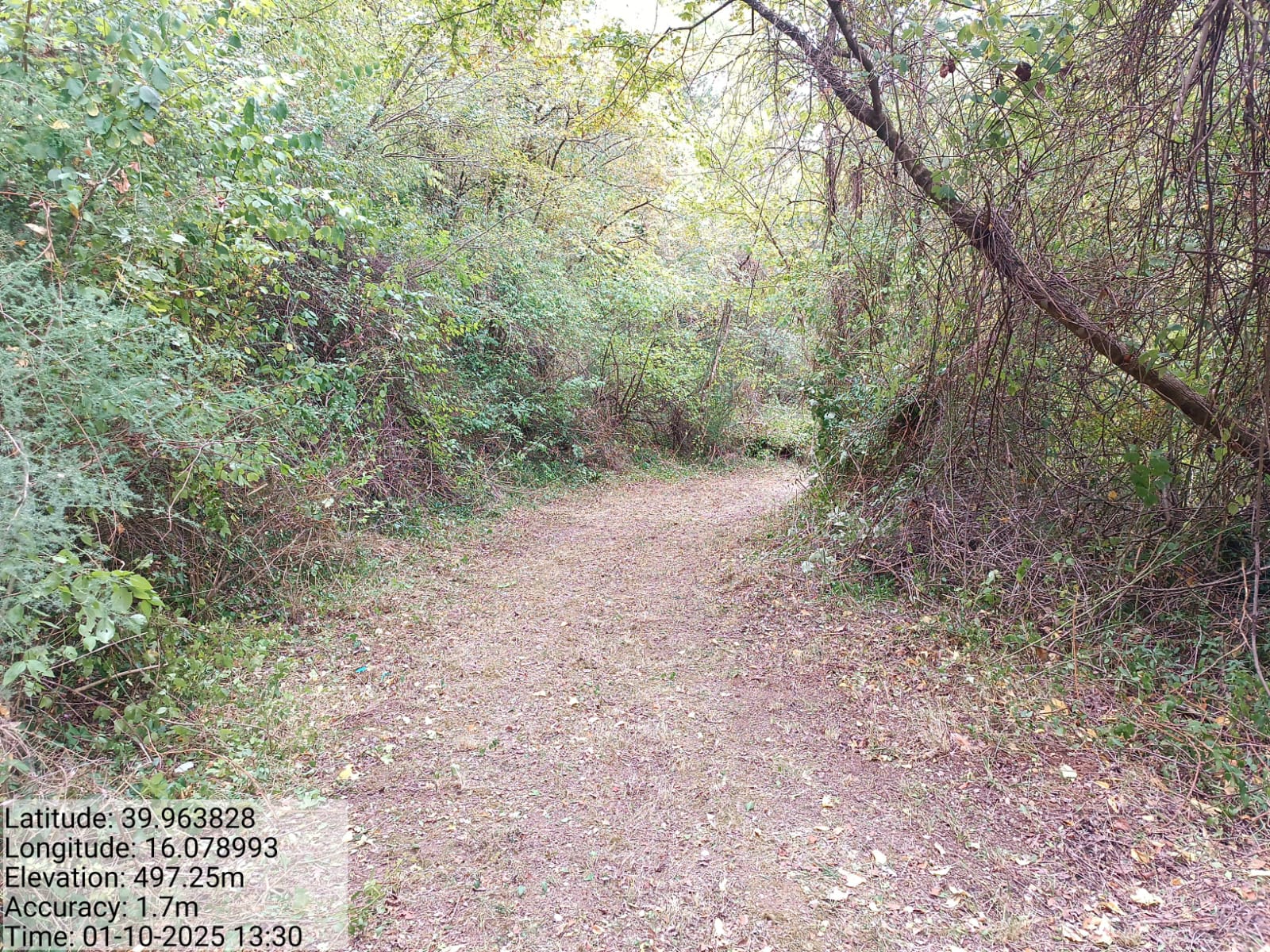 Galleria Fotografica Immagine