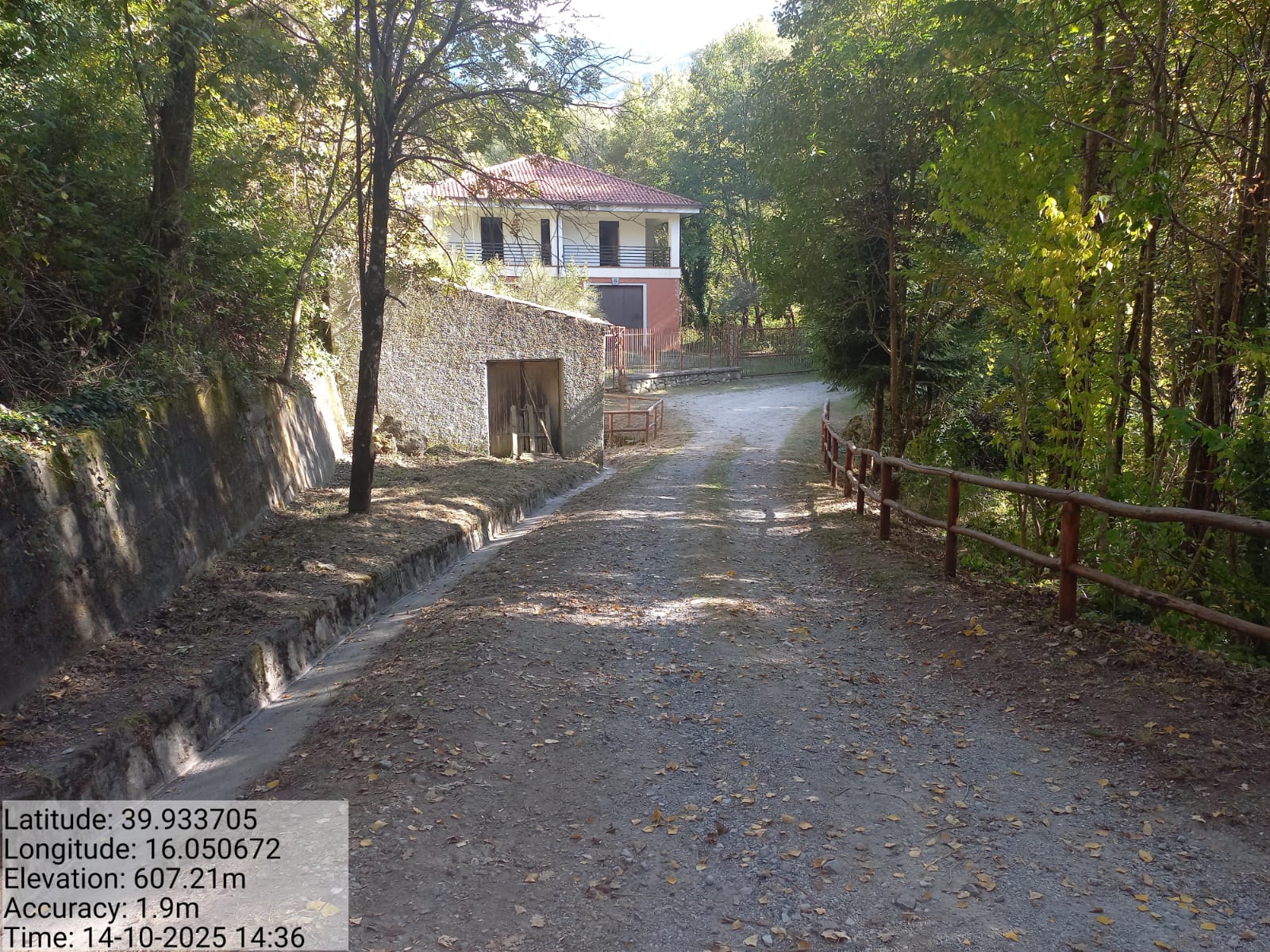 Galleria Fotografica Immagine