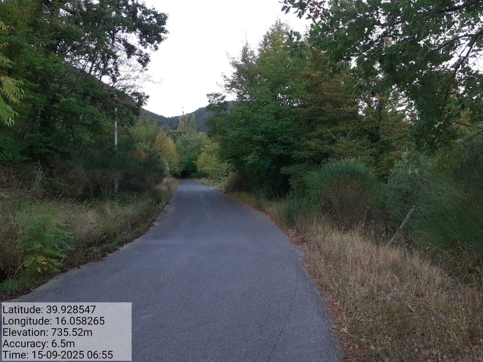 Galleria Fotografica Immagine