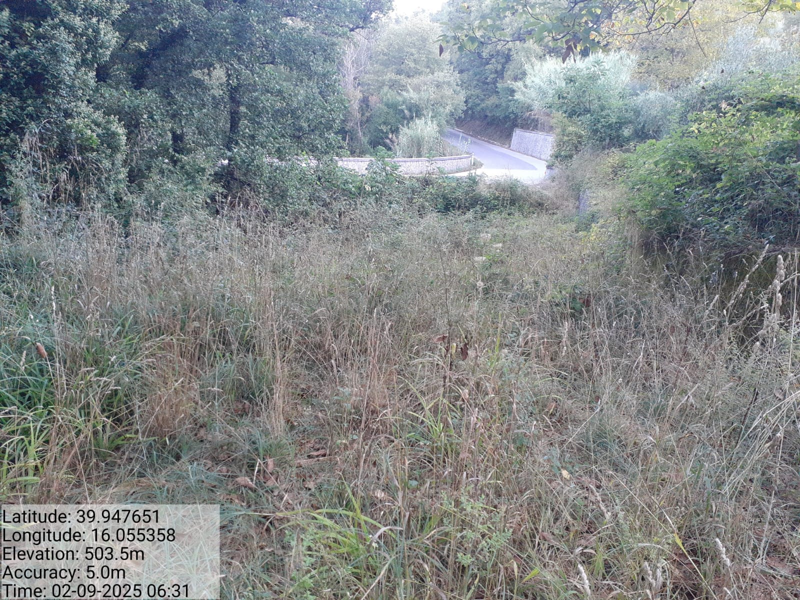 Galleria Fotografica Immagine