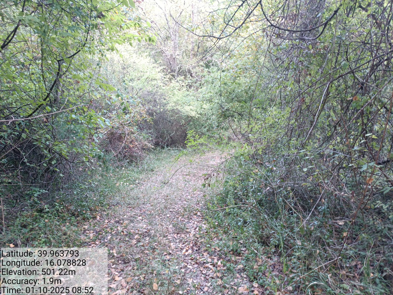 Galleria Fotografica Immagine