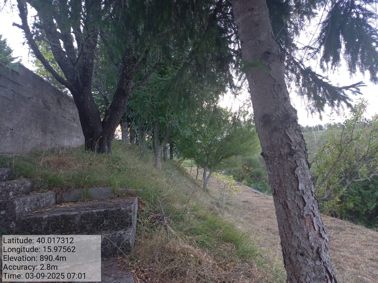 Galleria Fotografica Immagine