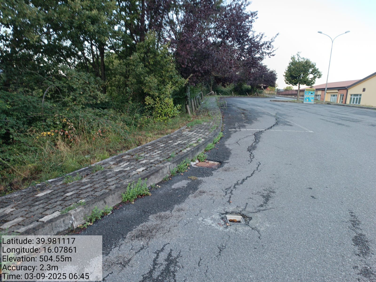 Galleria Fotografica Immagine