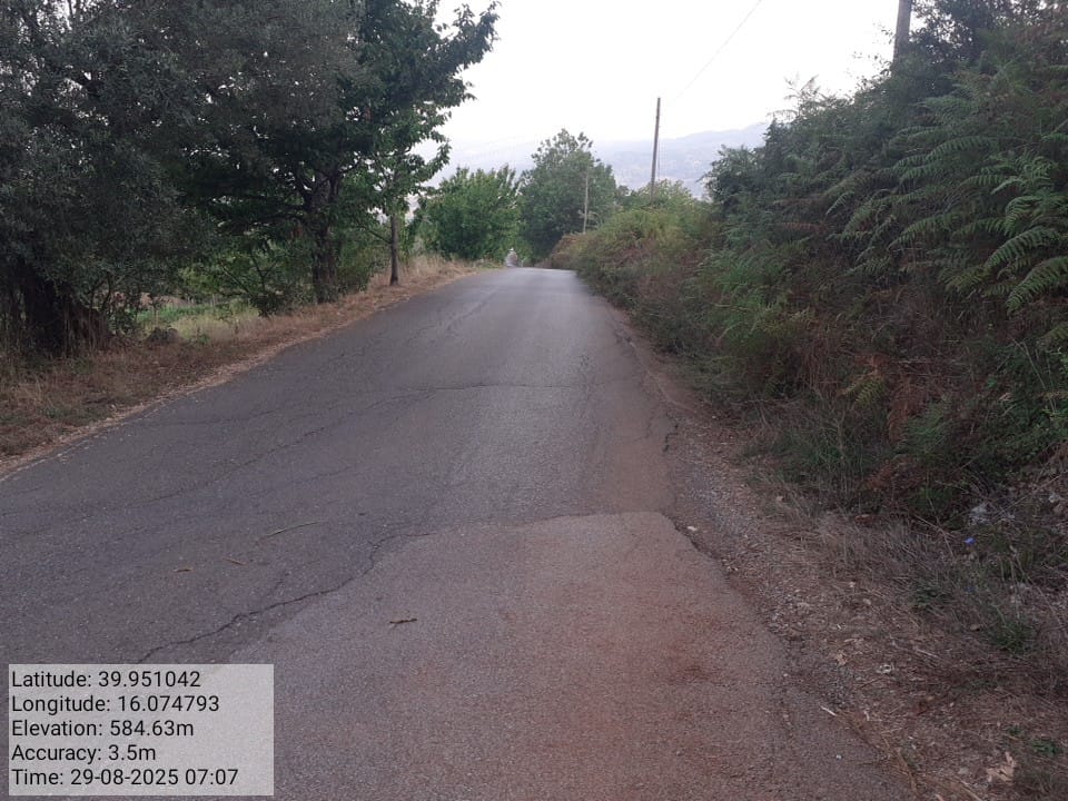 Galleria Fotografica Immagine