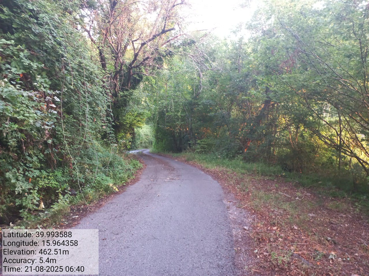 Galleria Fotografica Immagine