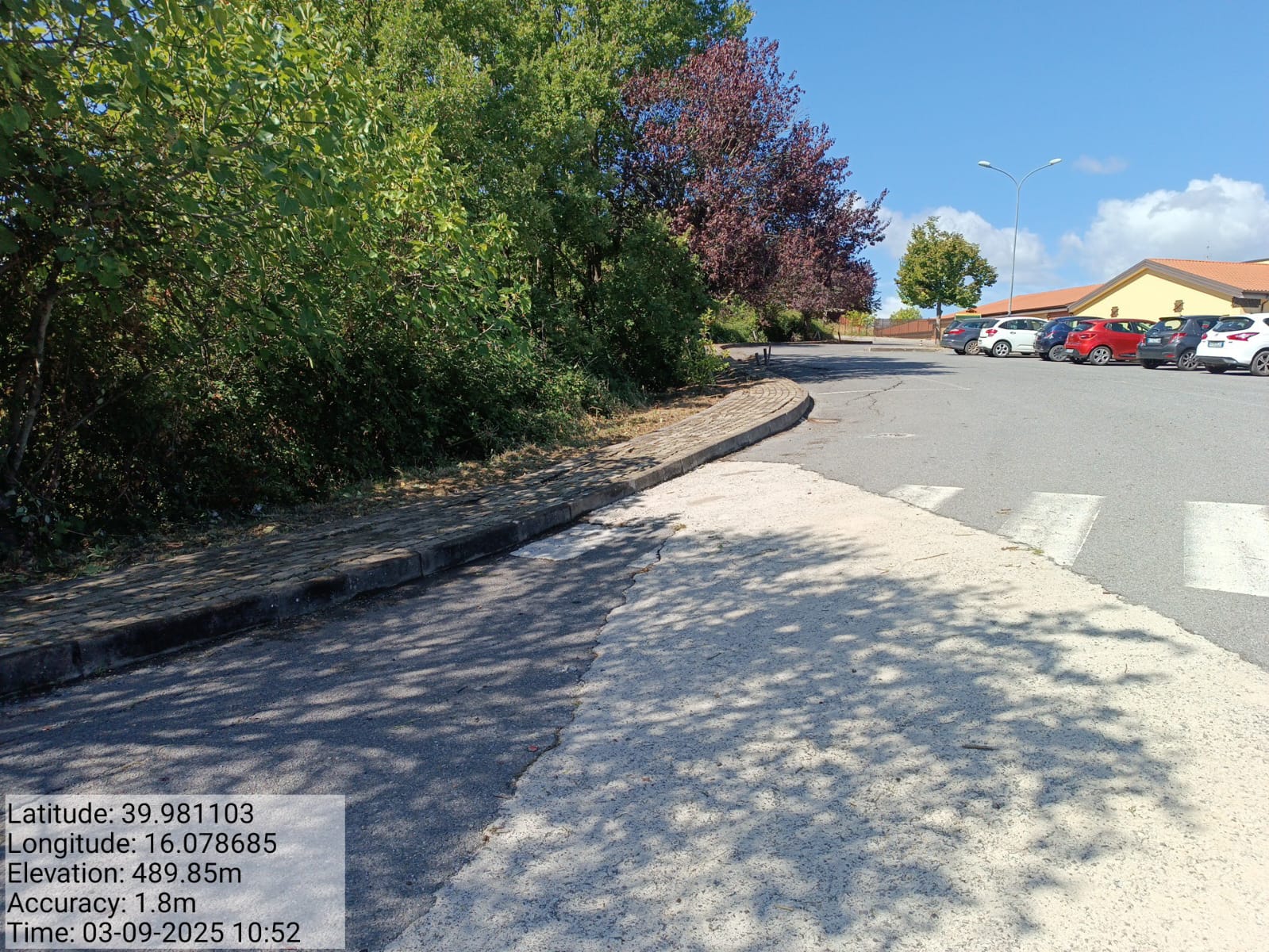 Galleria Fotografica Immagine