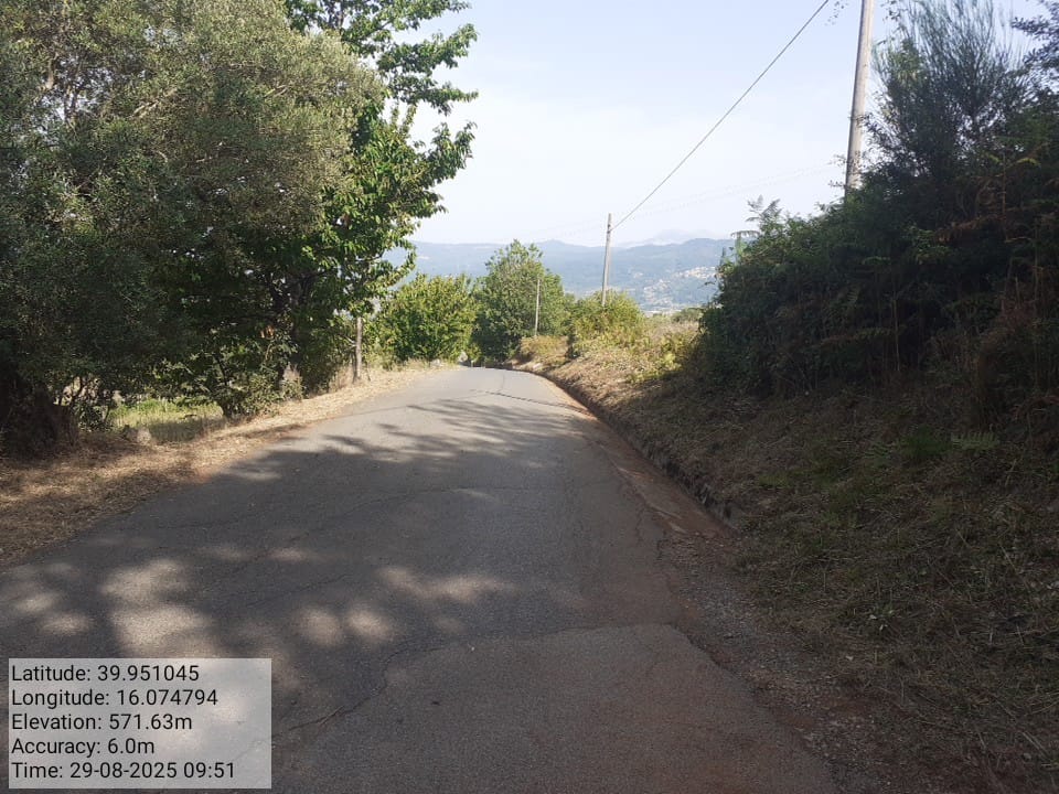 Galleria Fotografica Immagine