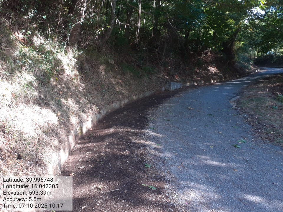 Galleria Fotografica Immagine