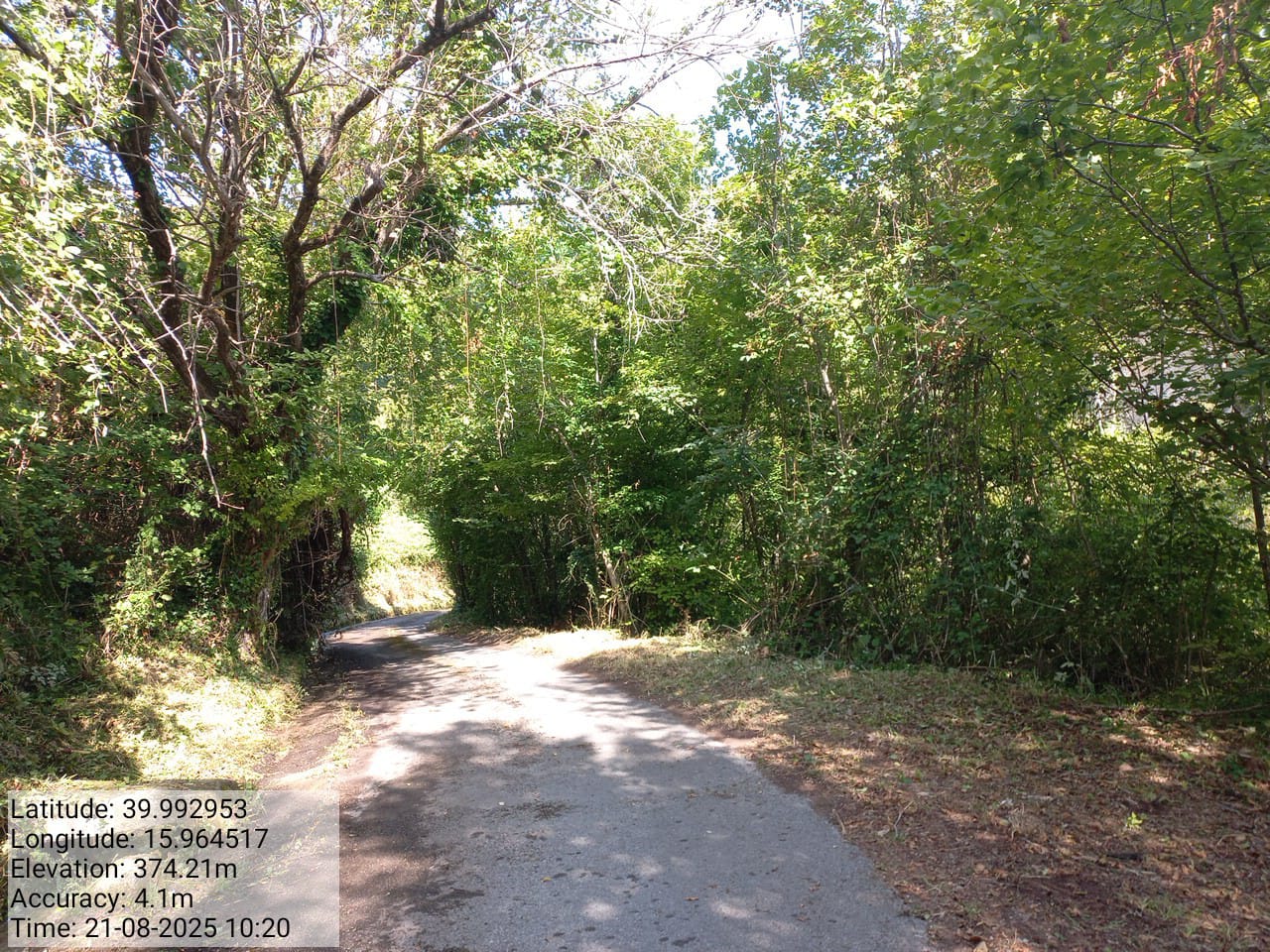 Galleria Fotografica Immagine