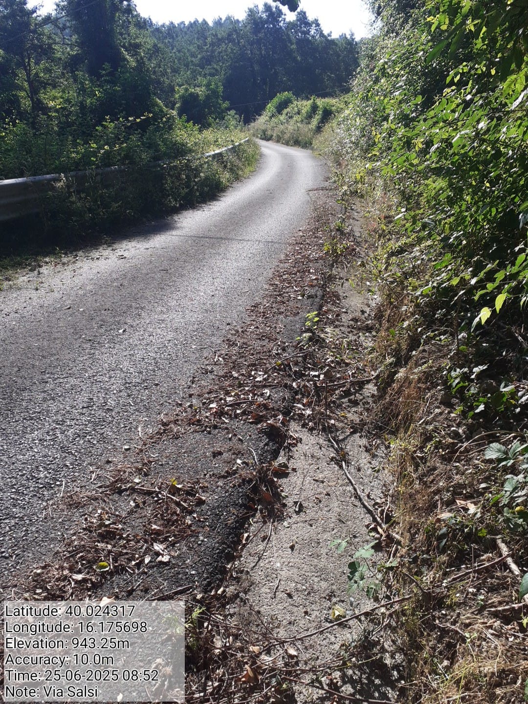 Galleria Fotografica Immagine