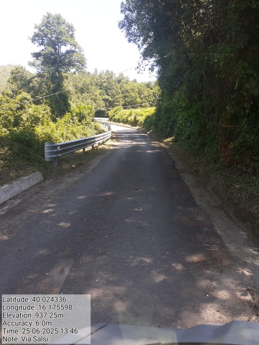 Galleria Fotografica Immagine