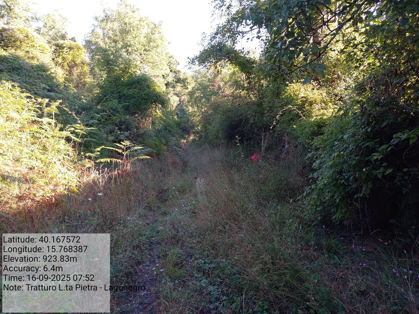 Galleria Fotografica Immagine