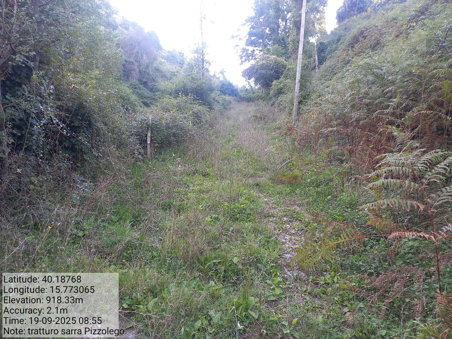 Galleria Fotografica Immagine