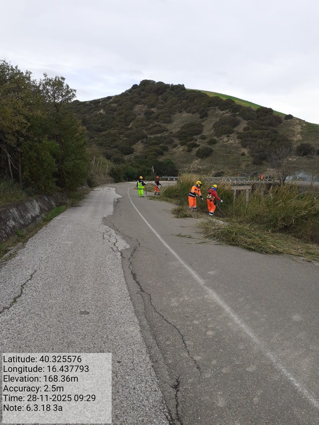 Galleria Fotografica Immagine