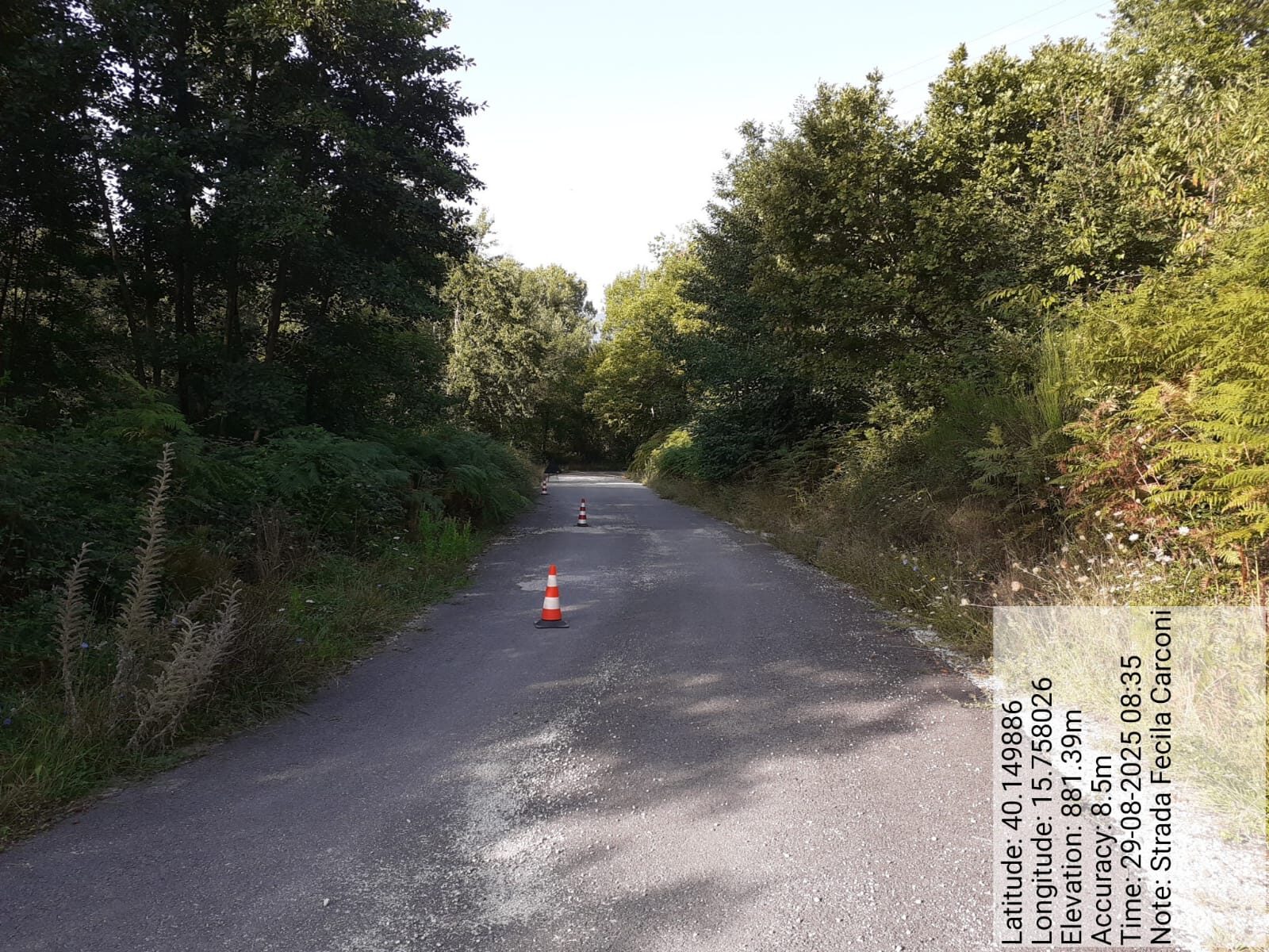 Galleria Fotografica Immagine