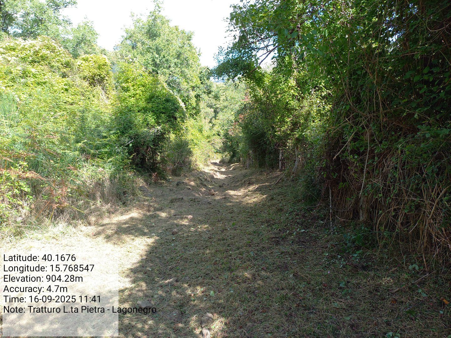 Galleria Fotografica Immagine