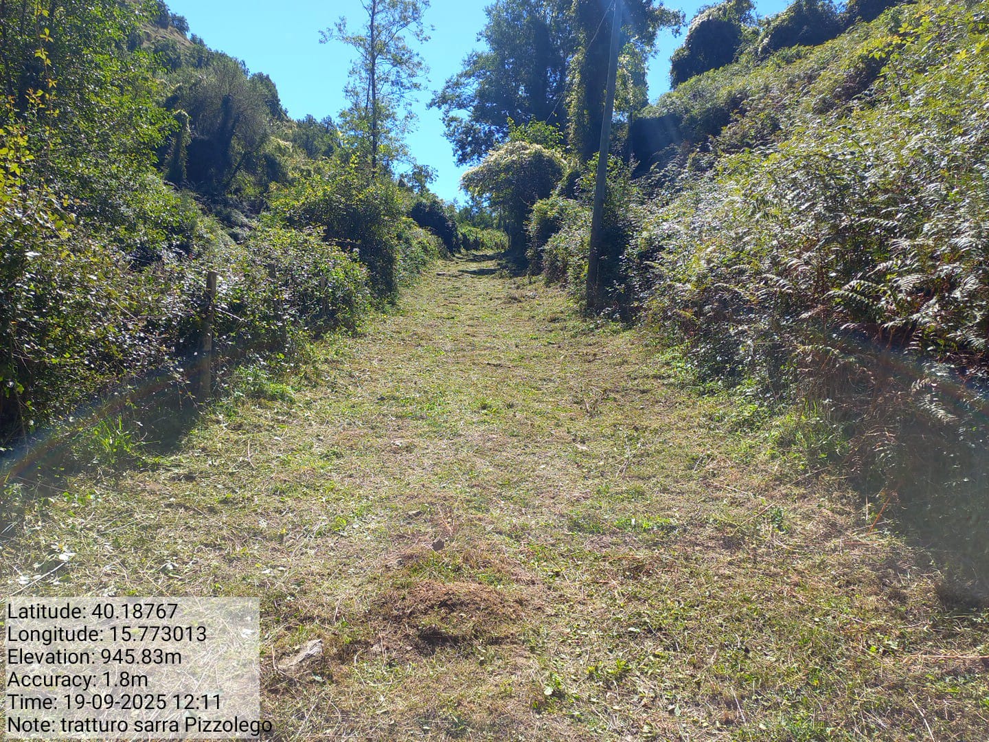 Galleria Fotografica Immagine