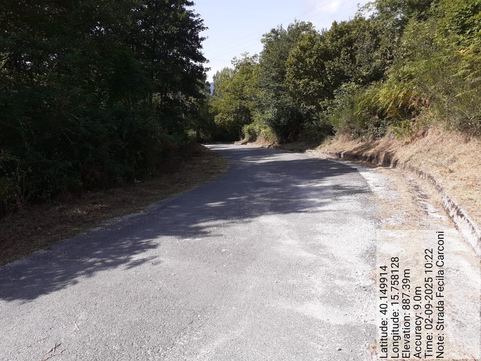 Galleria Fotografica Immagine