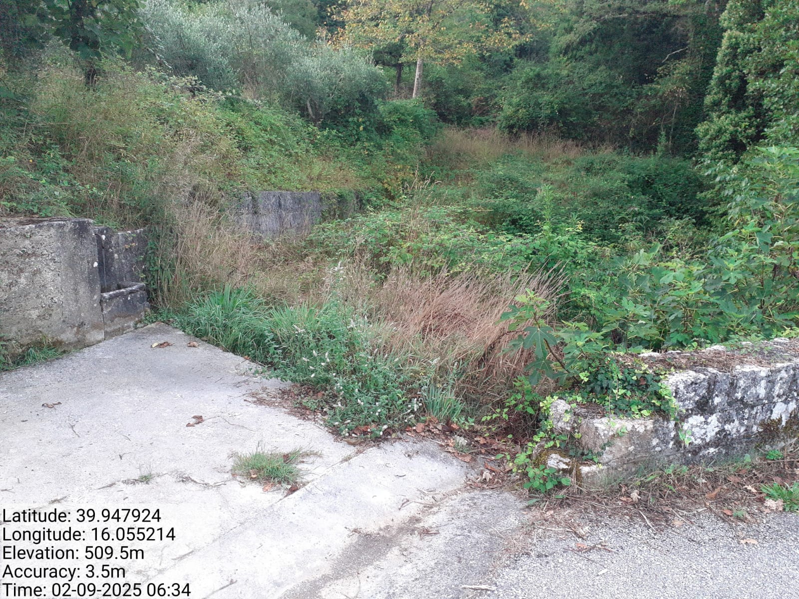 Galleria Fotografica Immagine