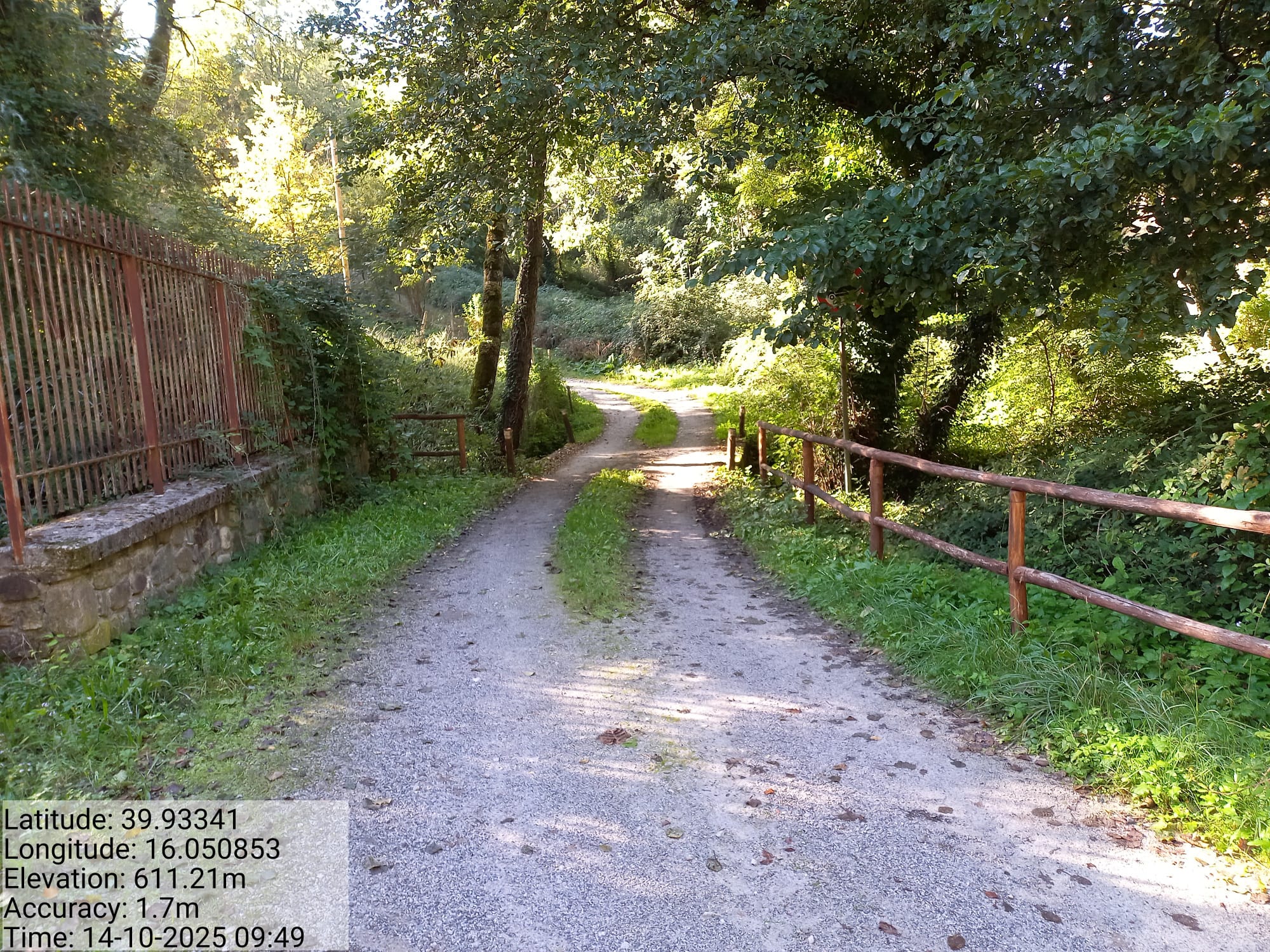 Galleria Fotografica Immagine