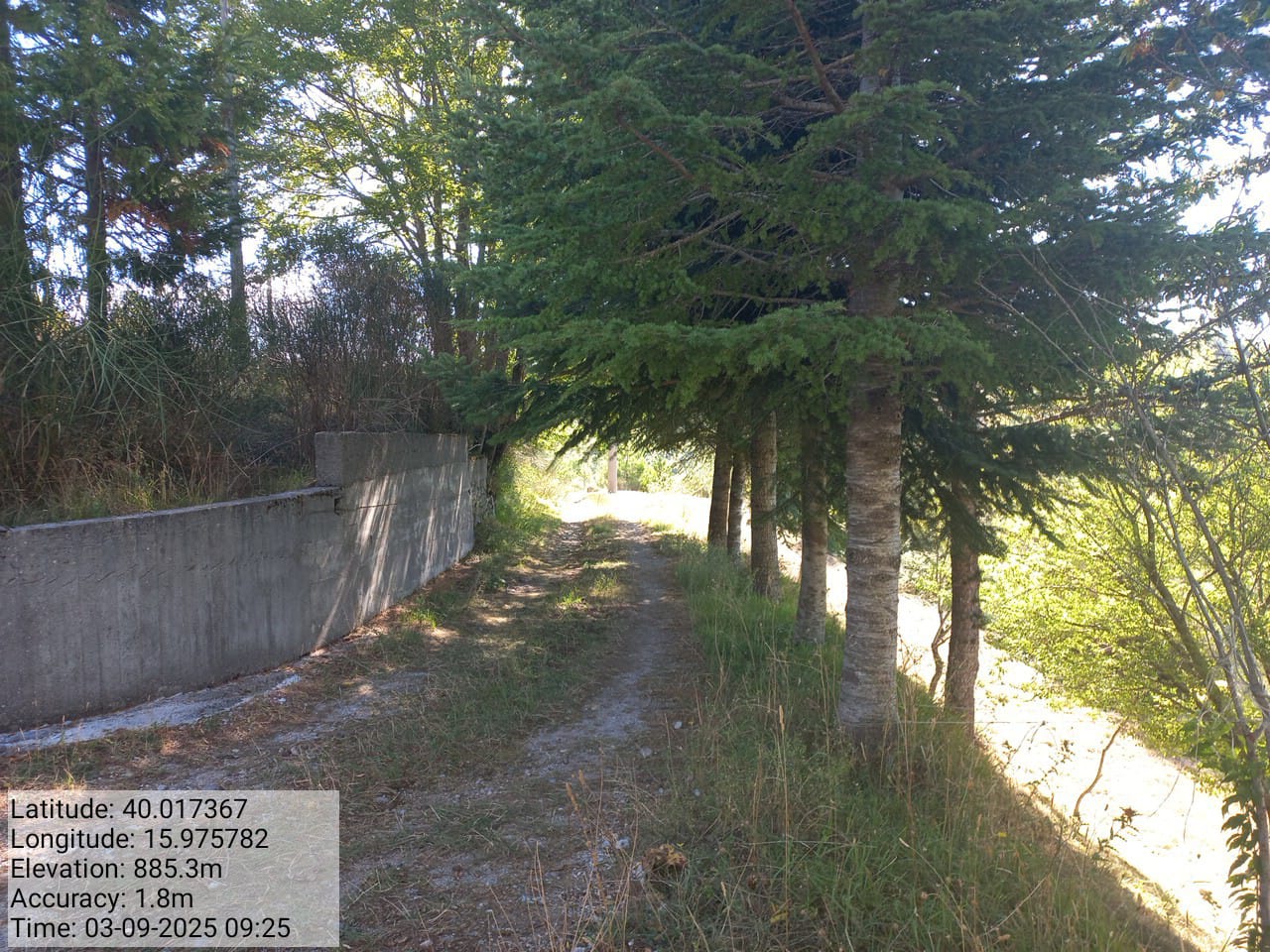 Galleria Fotografica Immagine