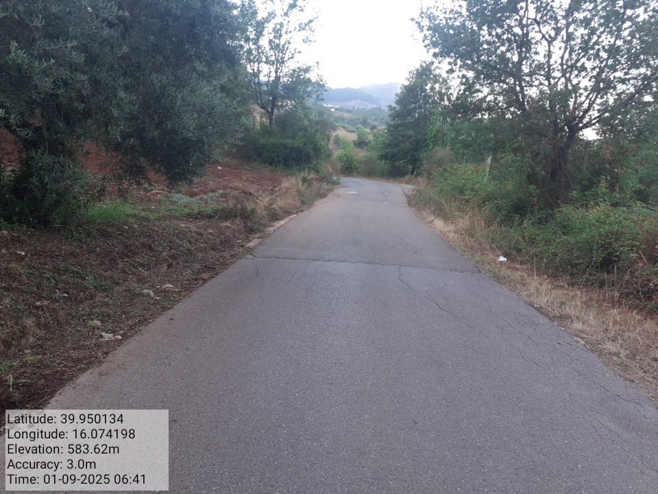 Galleria Fotografica Immagine