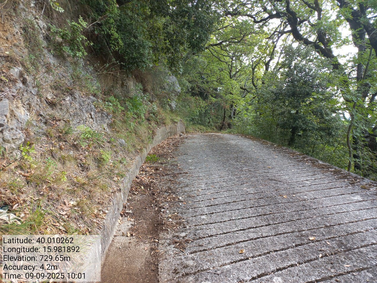 Galleria Fotografica Immagine