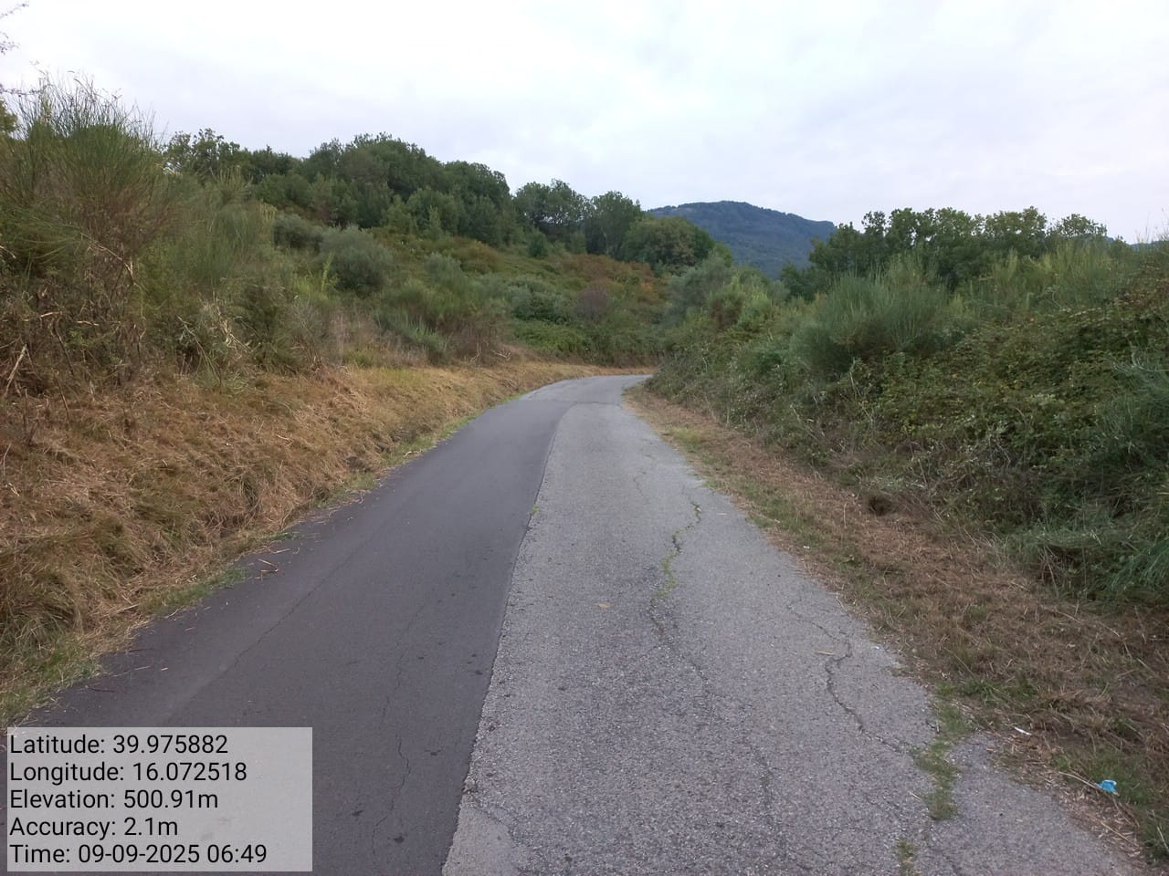 Galleria Fotografica Immagine