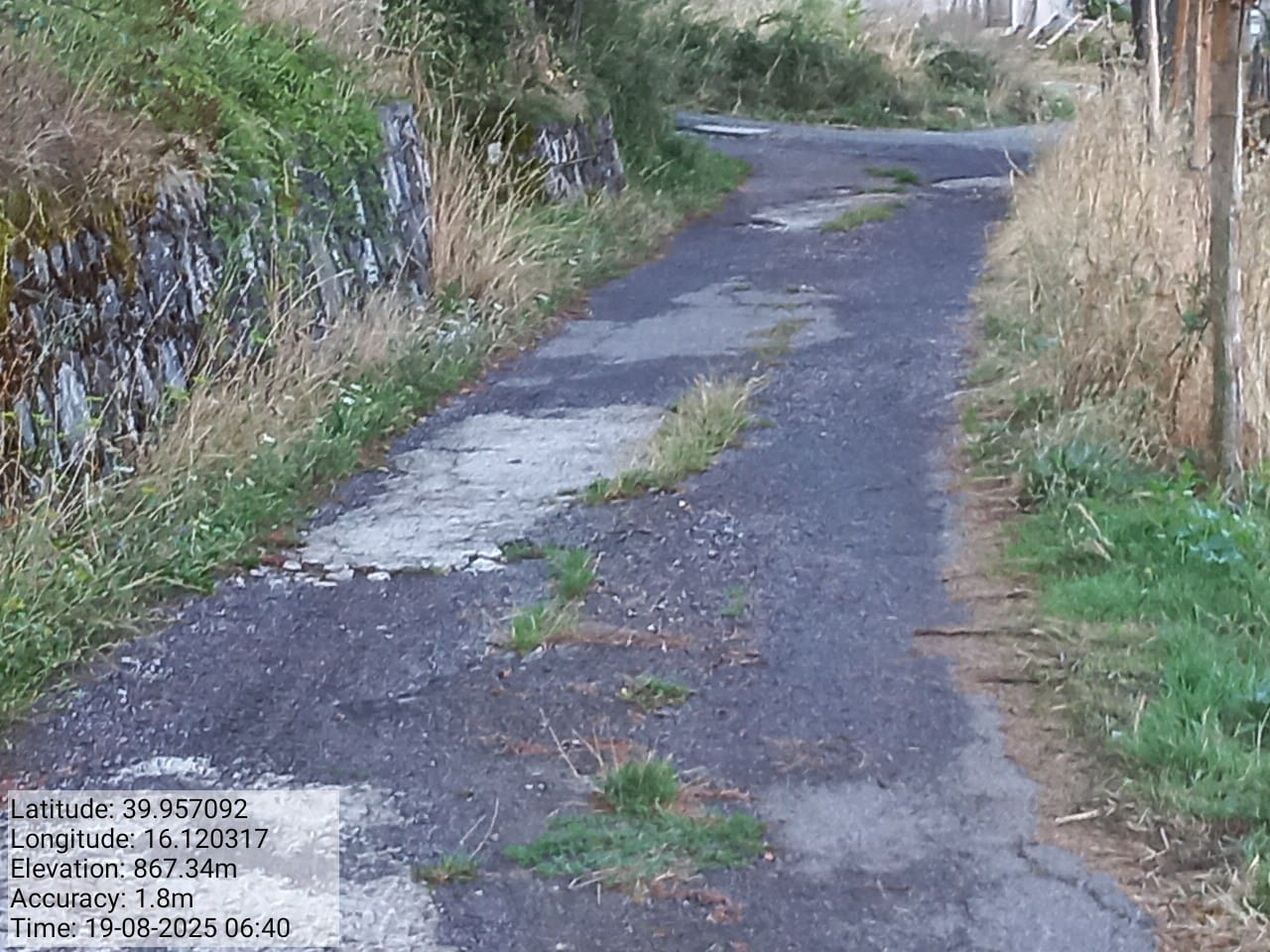 Galleria Fotografica Immagine