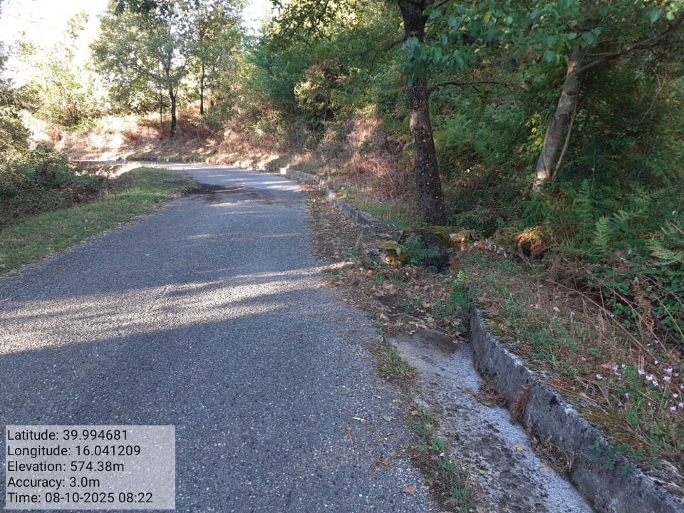 Galleria Fotografica Immagine