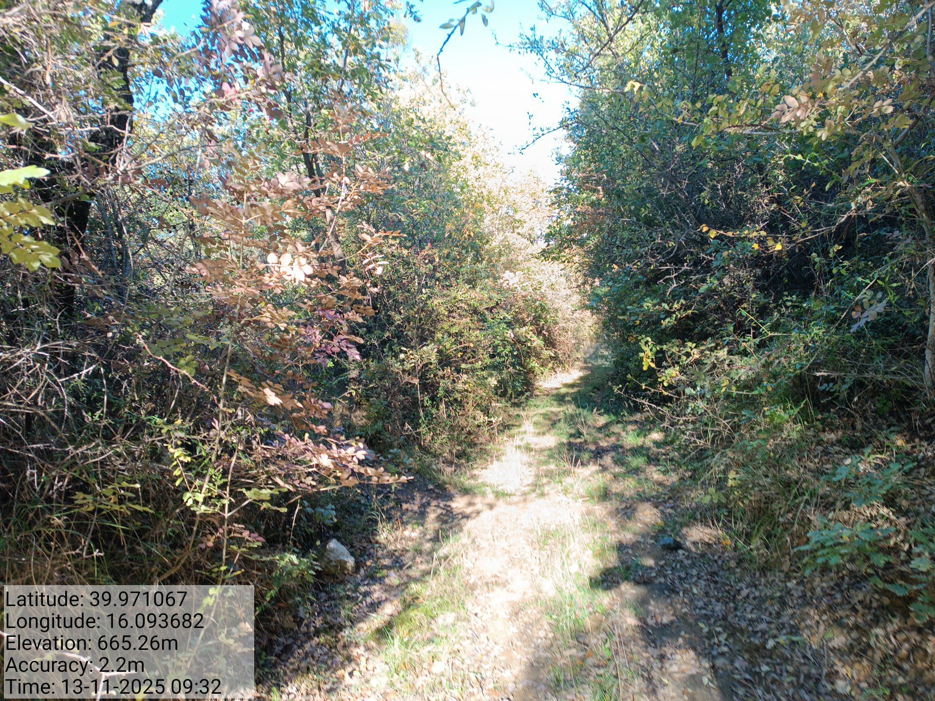 Galleria Fotografica Immagine