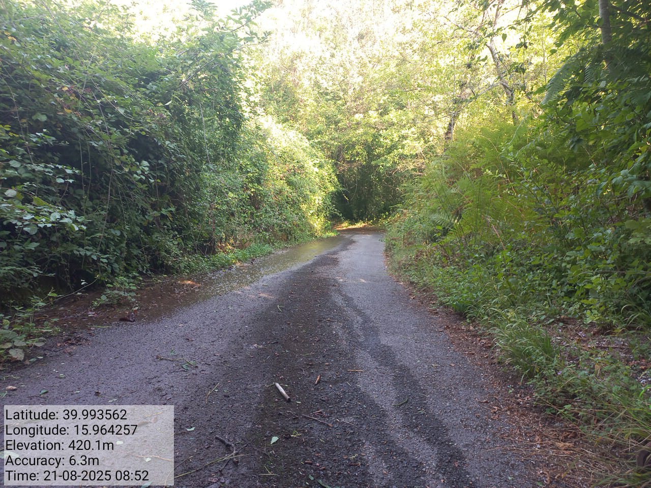 Galleria Fotografica Immagine