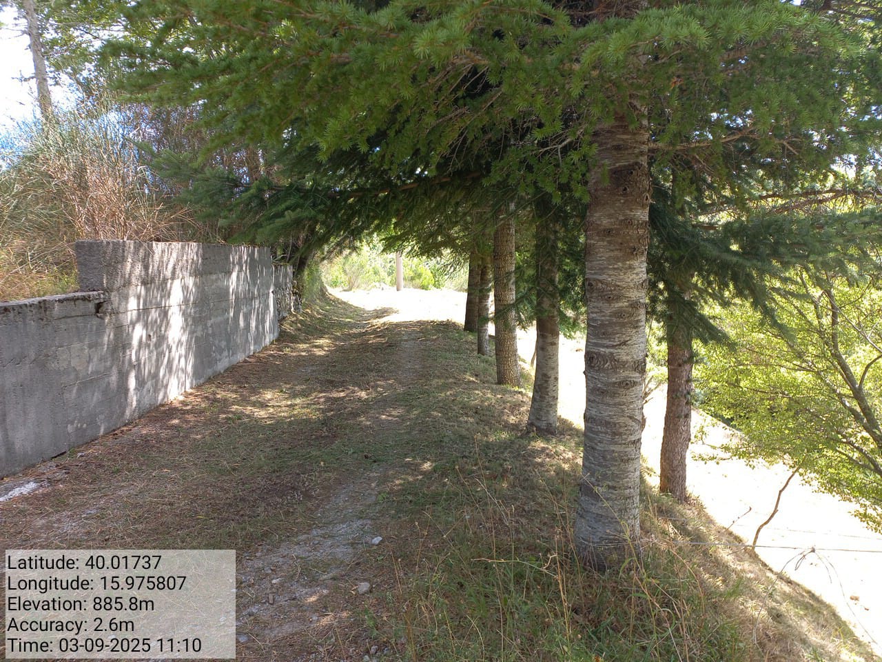 Galleria Fotografica Immagine