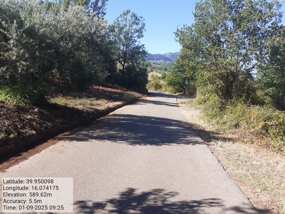 Galleria Fotografica Immagine