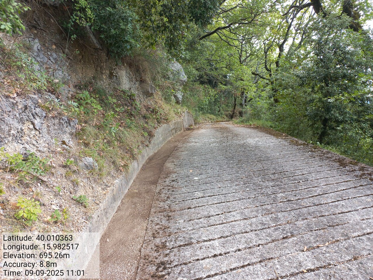 Galleria Fotografica Immagine