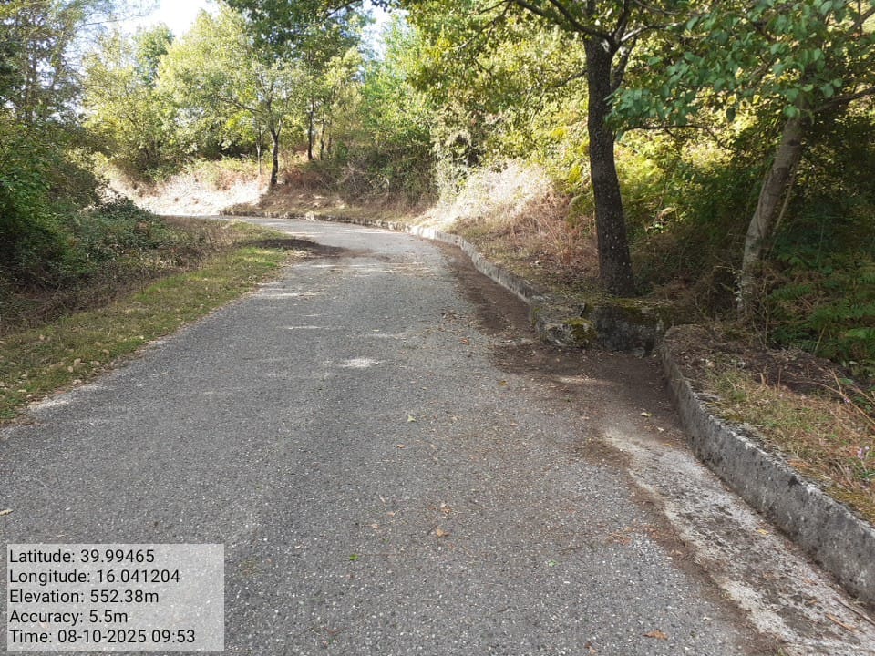 Galleria Fotografica Immagine