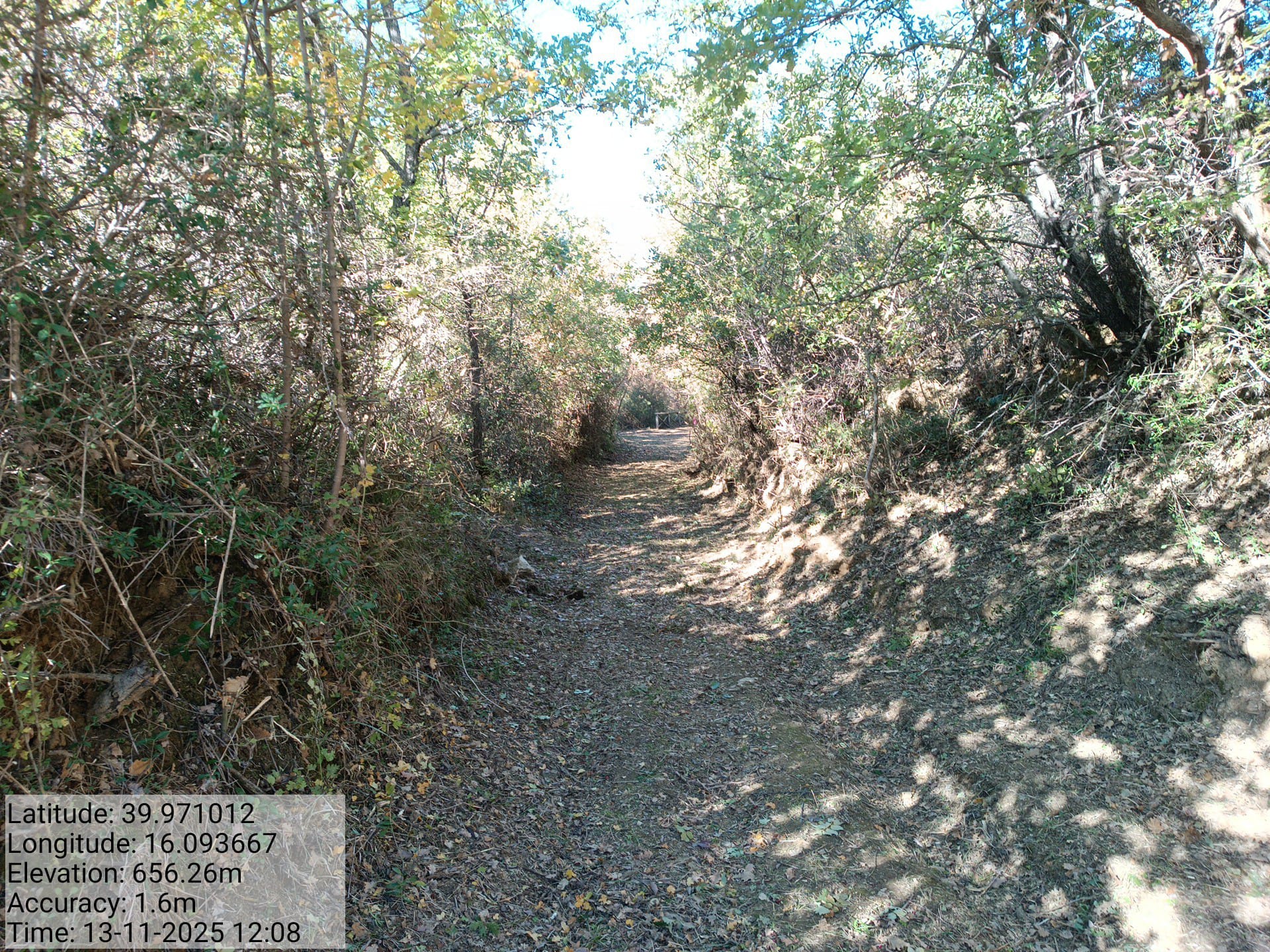 Galleria Fotografica Immagine