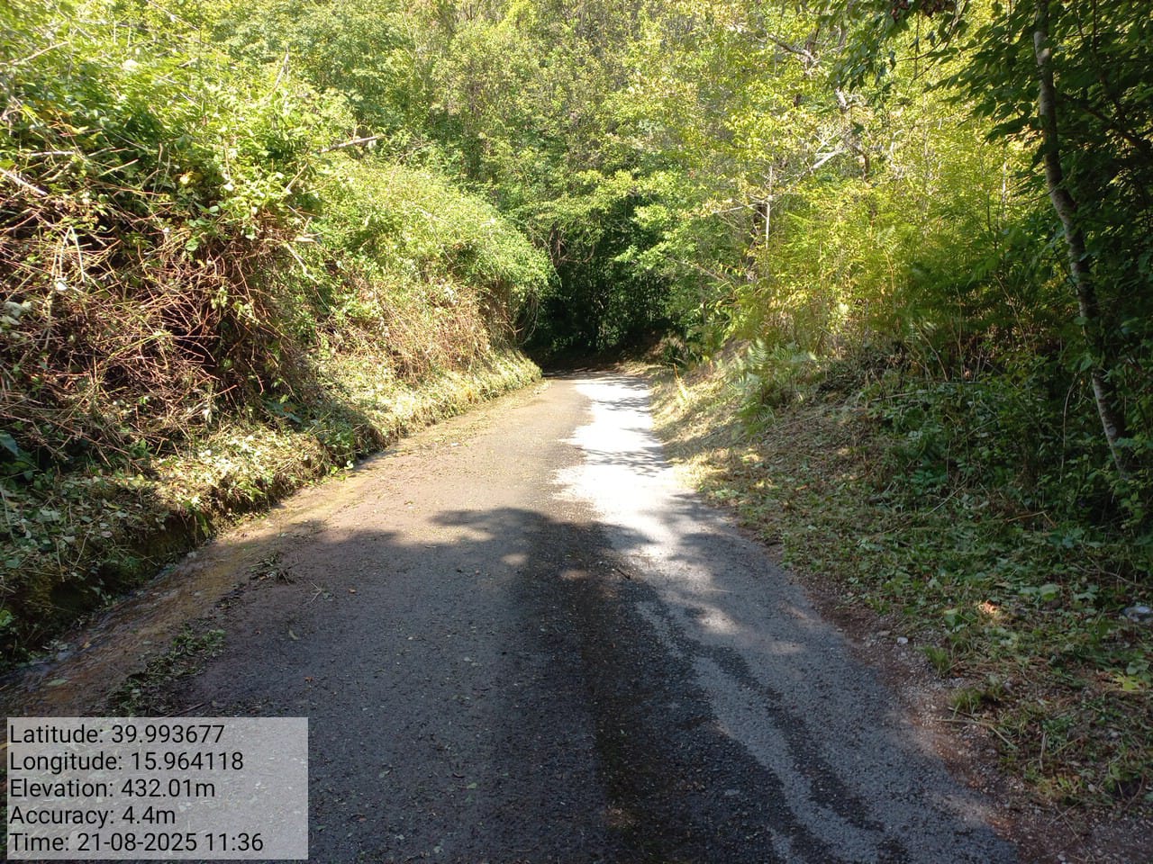 Galleria Fotografica Immagine