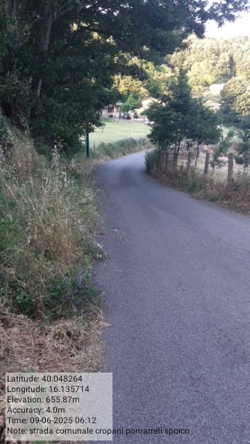 Galleria Fotografica Immagine