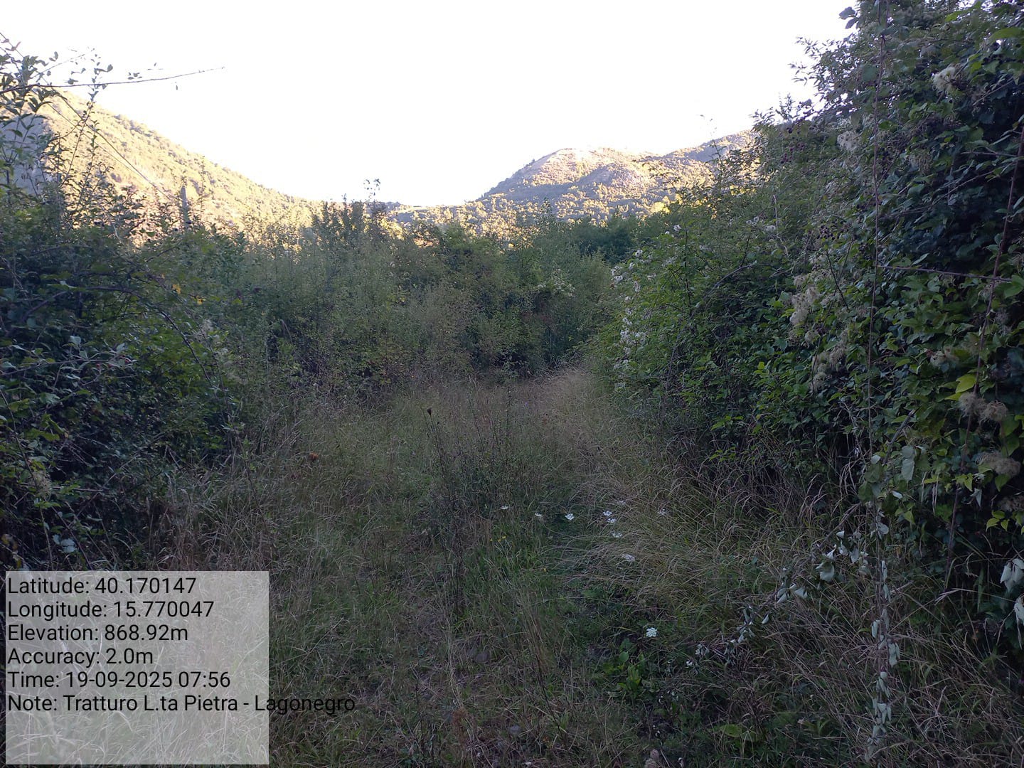 Galleria Fotografica Immagine