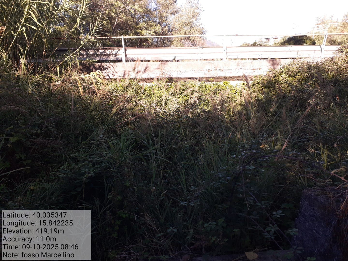 Galleria Fotografica Immagine