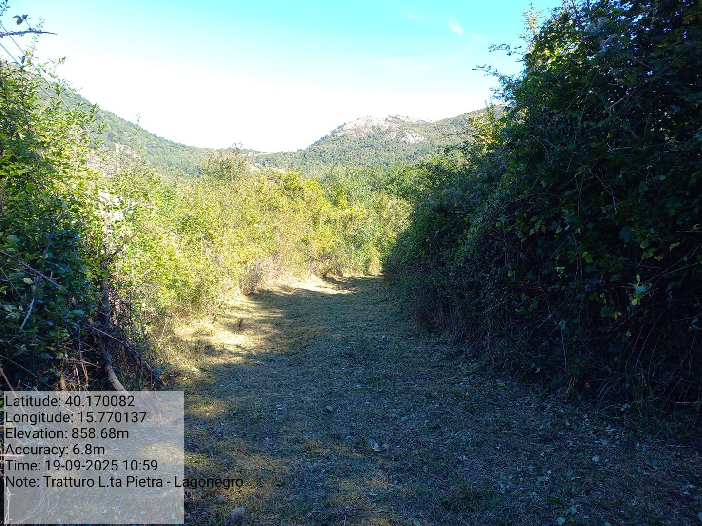 Galleria Fotografica Immagine