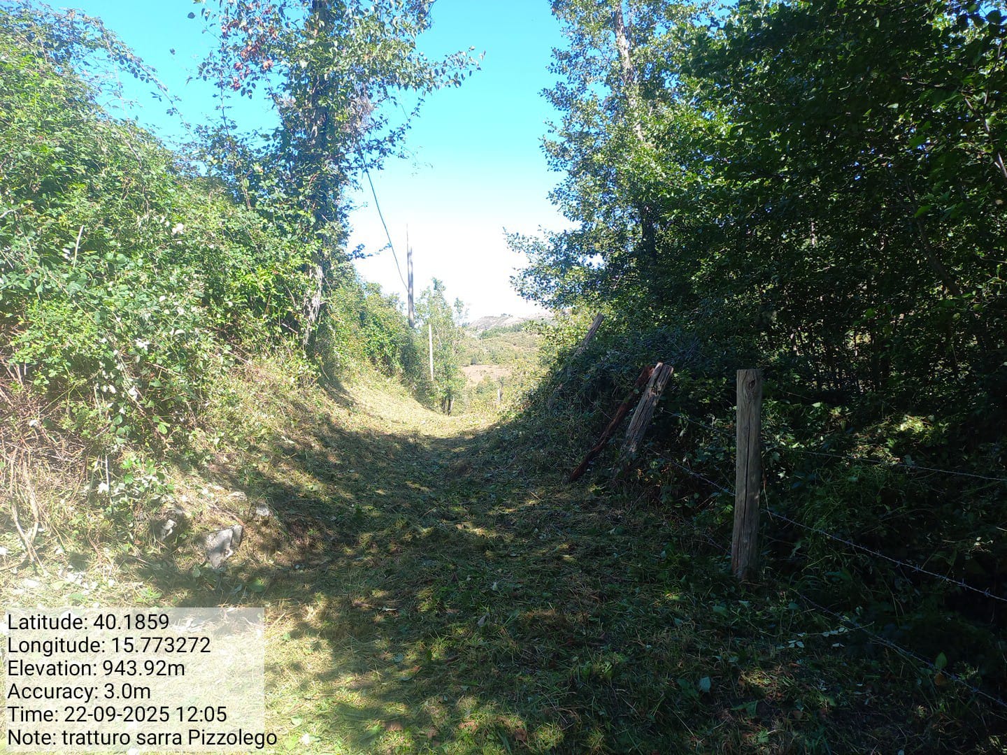 Galleria Fotografica Immagine