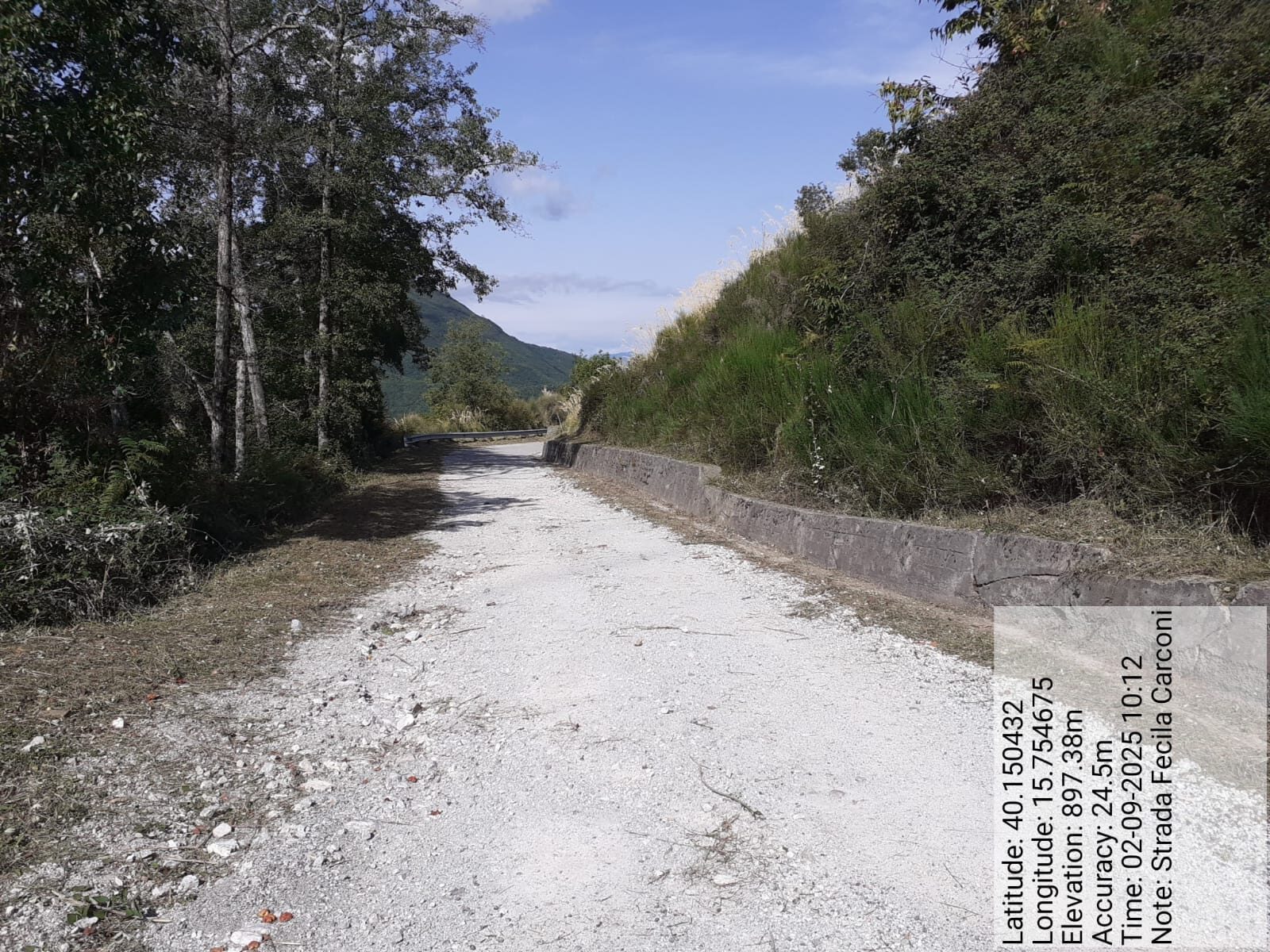 Galleria Fotografica Immagine