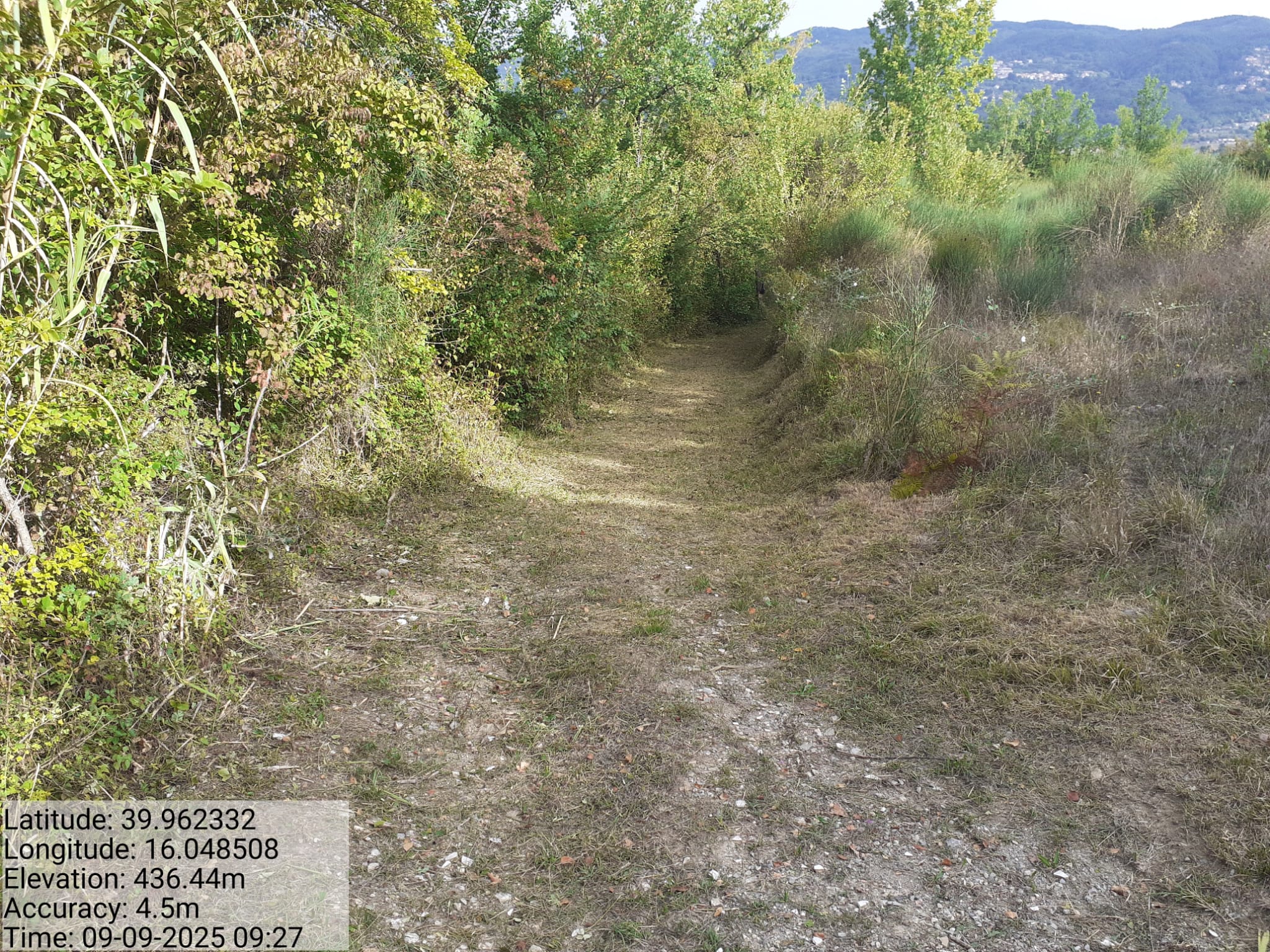 Galleria Fotografica Immagine