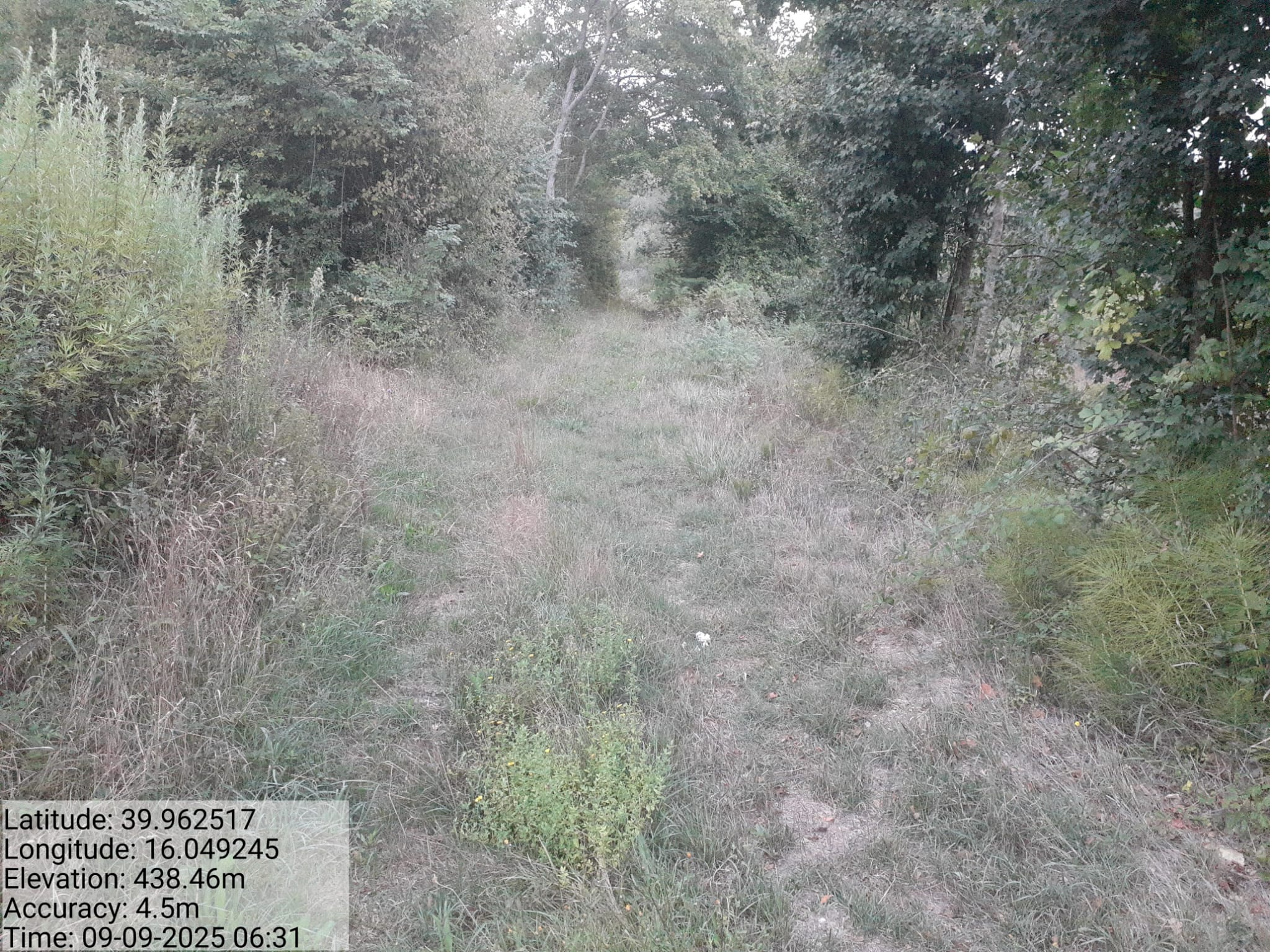 Galleria Fotografica Immagine