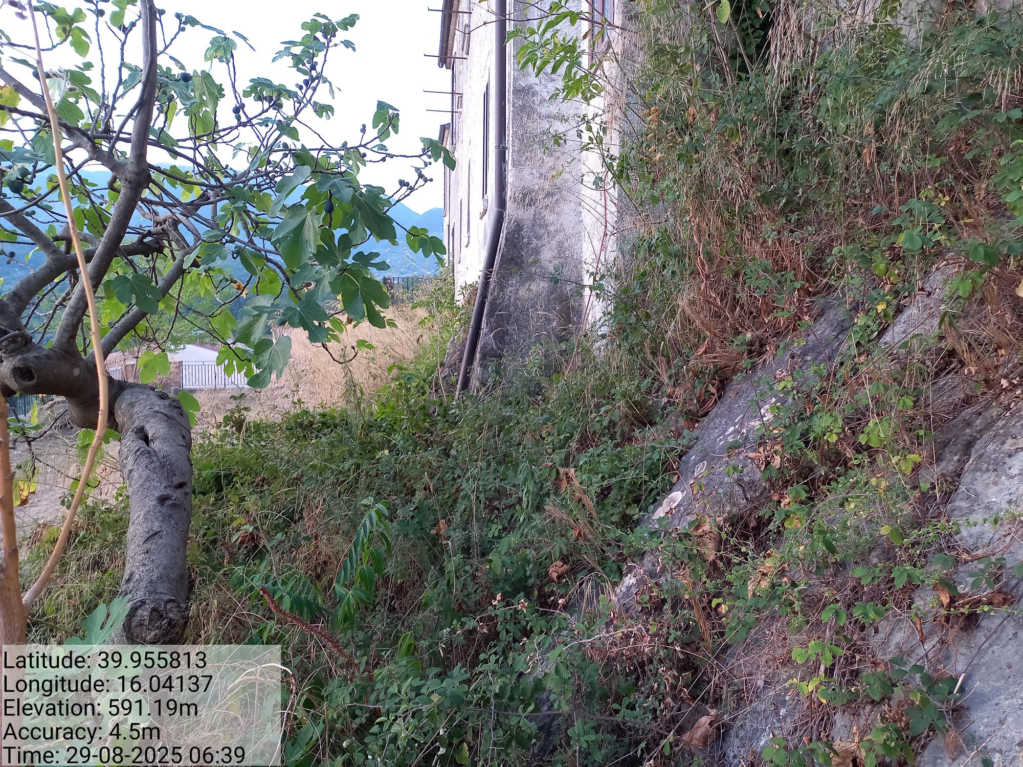 Galleria Fotografica Immagine