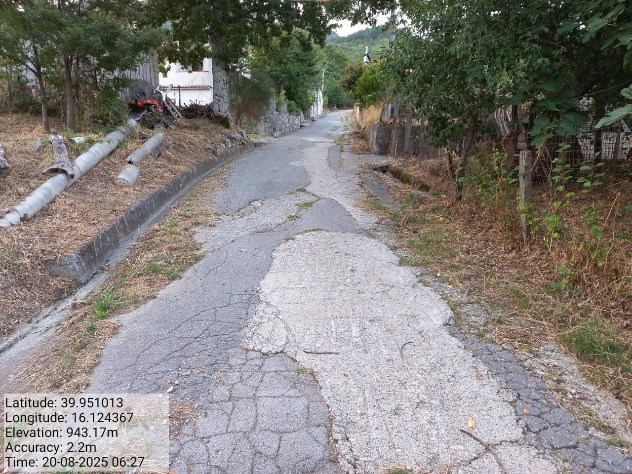 Galleria Fotografica Immagine